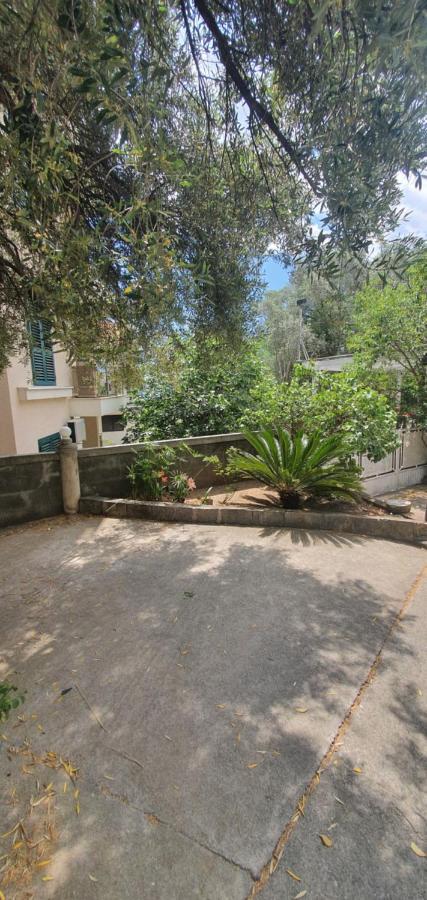 Guest House Mia Becici  Exterior photo